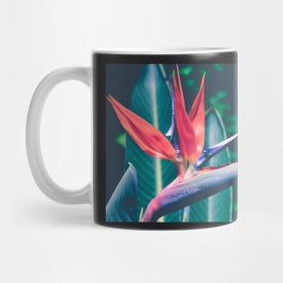 Bird of Paradise Mug